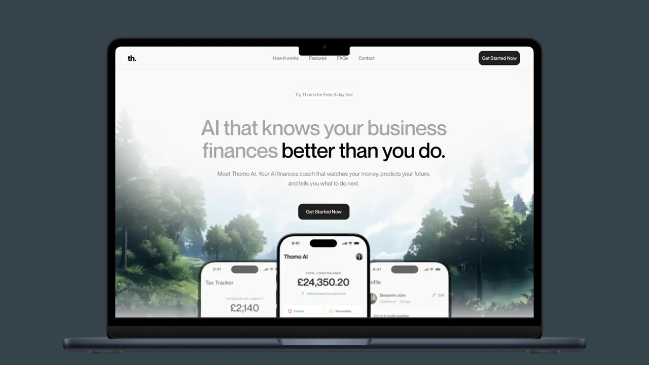 Thomo AI: AI business finance assistant